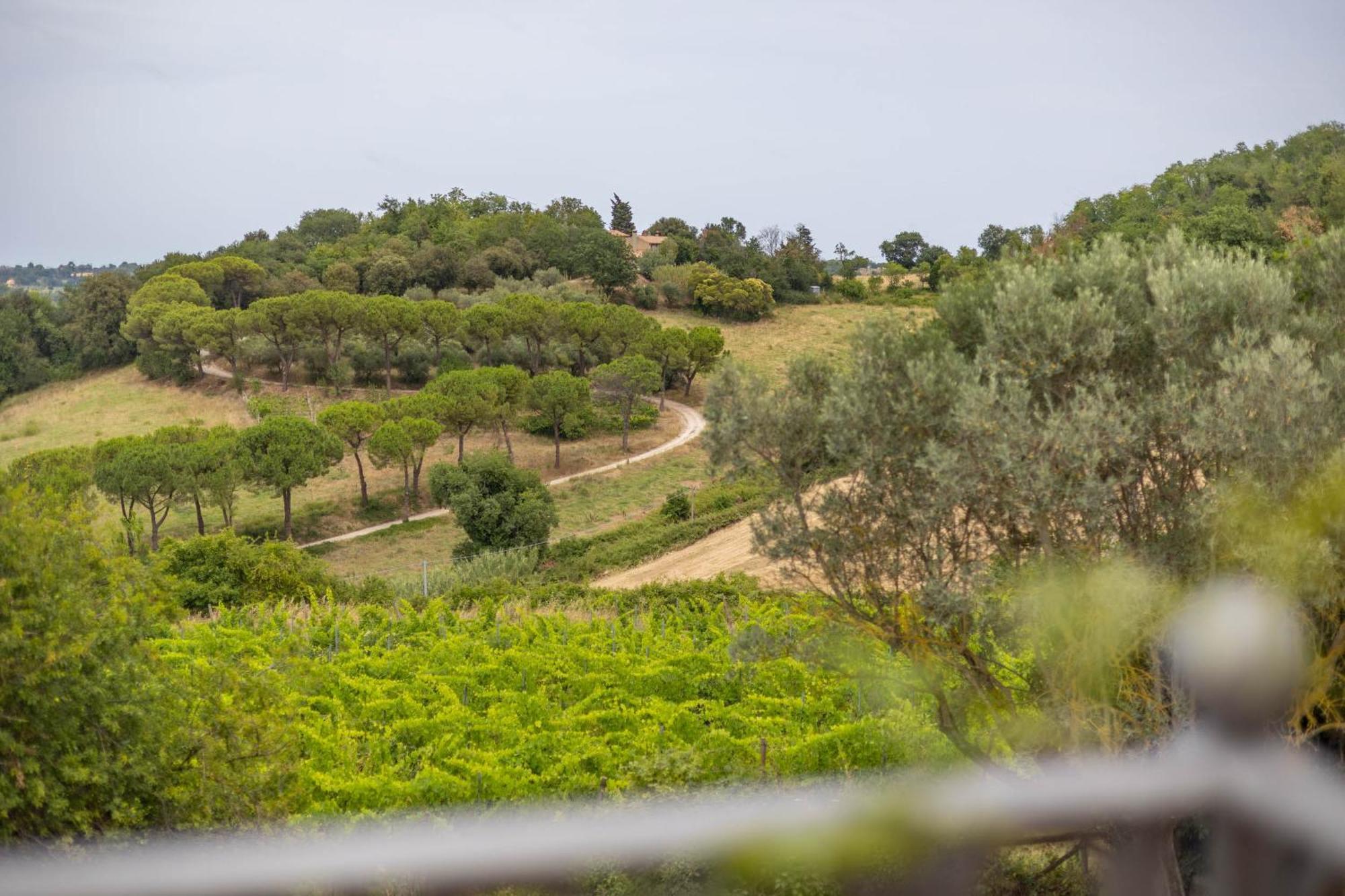 Вилла Agriturimo Ca Dorale Фано Экстерьер фото