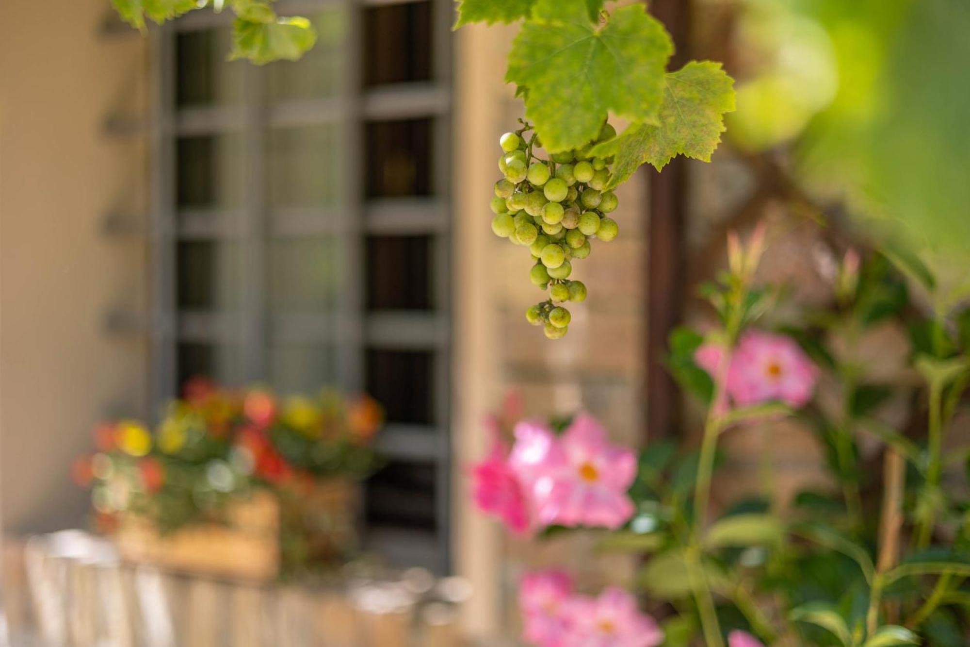 Вилла Agriturimo Ca Dorale Фано Экстерьер фото